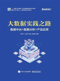 《大数据实践之路：数据中台+数据分析+产品应用》-林泽丰