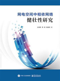 《网电空间中相依网络健壮性研究》-王竣德