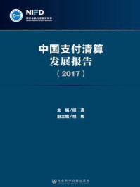 《中国支付清算发展报告（2017）》-杨涛