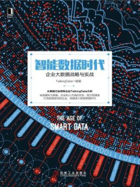 《智能数据时代：企业大数据战略与实战》-TalkingData