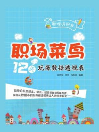 《职场菜鸟12天玩爆数据透视表》-肖炳军、范明、马利燕