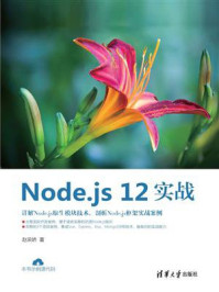 《Node.js 12实战》-赵荣娇