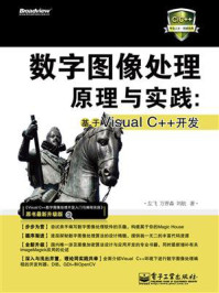 《数字图像处理原理与实践：基于Visual C++开发》-左飞