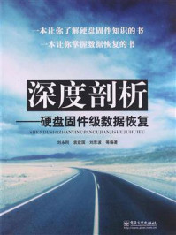 《深度剖析—硬盘固件级数据恢复》-刘永刚