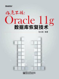 《临危不惧：Oracle 11g数据库恢复技术》-包光磊