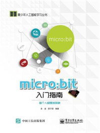 《micro：bit 入门指南》-余波