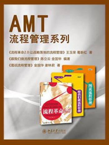 《AMT流程管理系列（全三册）》-金国华