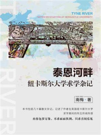 《泰恩河畔：纽卡斯尔大学求学杂记》-南梅