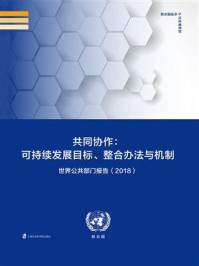 《共同协作：可持续发展目标、整合办法与机制――世界公共部门报告（2018）》-联合国经济和社会事务部