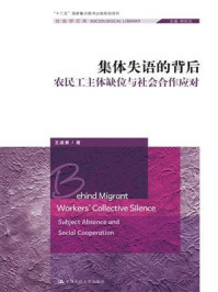 《集体失语的背后：农民工主体缺位与社会合作应对(社会学文库;“十二五”国家重点图书出版规划项目)》-王道勇