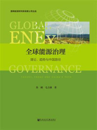 《全球能源治理：理论、趋势与中国路径》-鲁刚