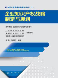 《企业知识产权战略制定与规划》-杨勇