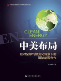 《中美布局：应对全球气候变化背景下的清洁能源合作》-徐洪峰