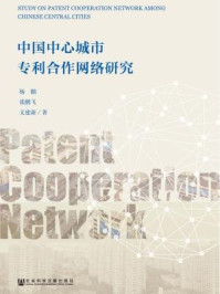 《中国中心城市专利合作网络研究》-杨鹏 张鹏飞 文建新 著