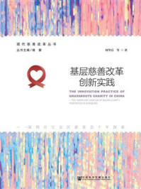 《基层慈善改革创新实践：深圳市宝安区慈善会十年探索》-何华兵 著