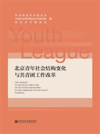 《北京青年社会结构变化与共青团工作改革》-共青团北京市委员会 中国社会科学院社会学研究所 北京青年研究会 编