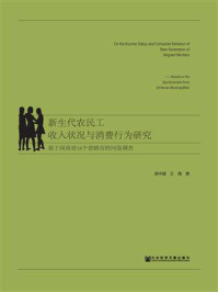 《新生代农民工收入状况与消费行为研究（基于河南省18个省辖市的问卷调查）》-高中建 王萌 著
