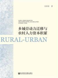 《乡城劳动力迁移与农村人力资本积累》-孙燕铭 著