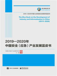 《2019—2020年中国安全（应急）产业发展蓝皮书》-中国电子信息产业发展研究院