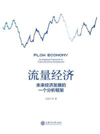 《流量经济：未来经济发展的一个分析框架》-石良平