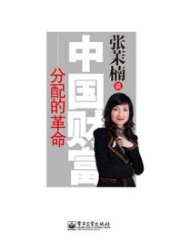 《张茉楠说：中国财富分配的革命》-张茉楠