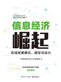 《信息经济崛起：区域发展模式、路径与动力》-中国信息化百人会课题组