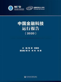 《中国金融科技运行报告（2020）》-杨涛