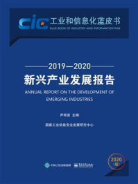 《新兴产业发展报告（2019—2020）》-尹丽波