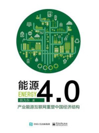 《能源4.0：产业能源互联网重塑中国经济结构》-顾为东