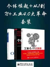 《个体崛起+从1到N+工业4.0大革命套装（3册）》-水木然