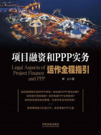 《项目融资和PPP实务运作全程指引》-林立