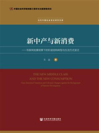 《新中产与新消费：互联网发展背景下的阶层结构转型与生活方式变迁》-朱迪