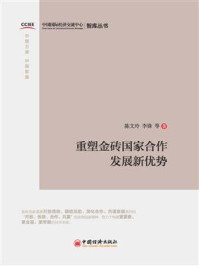 《重塑金砖国家合作发展新优势》-陈文玲