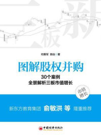 《图解股权并购——30个案例全景解析三板市值增长》-何勇军