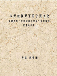 《大开放视野下的宁夏文化 宁夏大学“文化建设与发展”研究项目优秀论文集》-齐岳,何建国