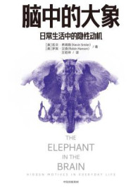 《脑中的大象》-凯文·希姆勒