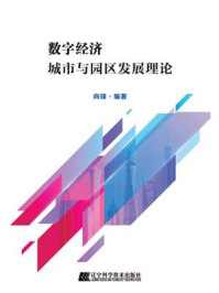 《数字经济城市与园区发展理论》-向锋