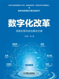 《数字化改革：场景应用与综合解决方案》-王焕然