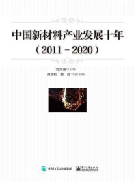 《中国新材料产业发展十年（2011-2020）》-刘文强