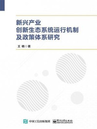 《新兴产业创新生态系统运行机制及政策体系研究》-王楠