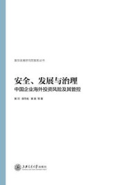 《安全、发展与治理：中国企业海外投资风险及其管控》-黄河