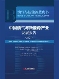 《中国油气及新能源产业发展报告（2021）》-蔡昉