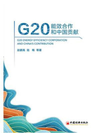 《G20能效合作和中国贡献》-赵鹏高