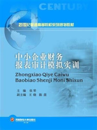 《中小企业财务报表审核模拟实训》-张琴