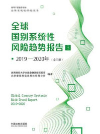 《2019—2020年全球国别系统性风险趋势报告 3》-西南财经大学全球金融战略实验室