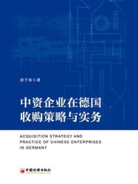 《中资企业在德国收购策略与实务》-胡子南