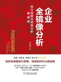 《企业全镜像分析：投行战略与财务分析新框架》-许业荣