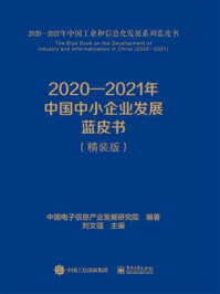 《2020—2021年中国中小企业发展蓝皮书》-中国电子信息产业发展研究院
