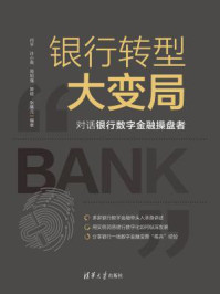 《银行转型大变局：对话银行数字金融操盘者》-何平
