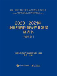 《2020—2021年中国战略性新兴产业发展蓝皮书》-中国电子信息产业发展研究院